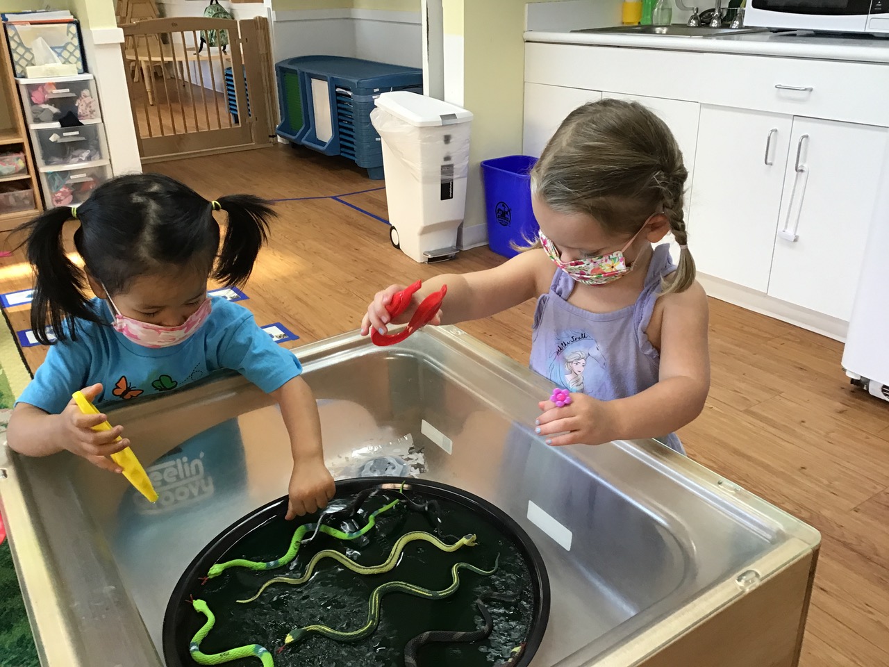 Got Stuck? Try These Tips To Streamline Your preschool hawaii theme
